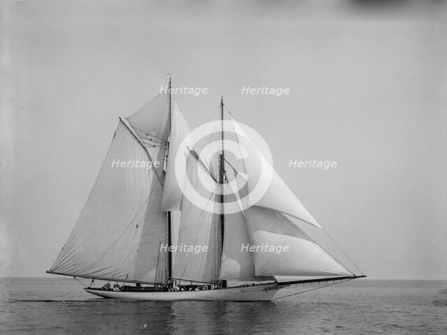 Shamrock, 1892 June 14. Creator: John S Johnston.