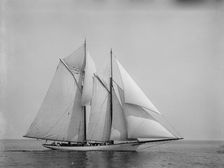 Shamrock, 1892 June 14. Creator: John S Johnston