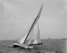 Shamrock, between 1890 and 1900. Creator: John S Johnston
