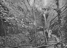 Shanklin Chine c1896. Artist: FN Broderick