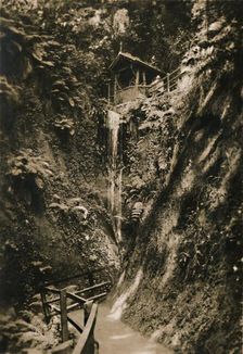 Shanklin Chine, I.W. c1920. Creator: Unknown