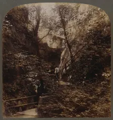 Shanklin Chine of World-wide fame, Isle of Wight, England c1910. Creator: Unknown