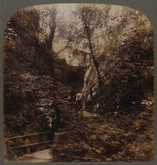Shanklin Chine of World-wide fame, Isle of Wight, England c1910. Creator: Unknown