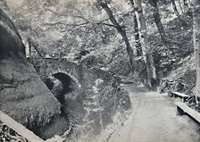 Shanklin - The Chine 1895