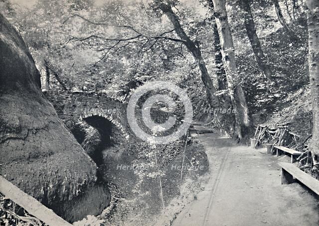 'Shanklin - The Chine', 1895. Artist: Unknown.