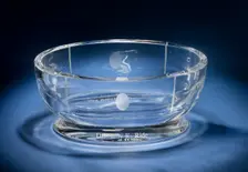 Shapiro Award presented to Sally Ride, 2004. Creator: Baccarat