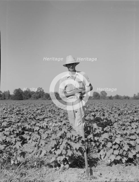Sharecropper of the Mississippi Delta, Issaquena County, Mississippi, 1937. Creator: Dorothea Lange.