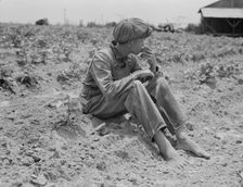 Sharecropper boy, Chesnee, South Carolina, 1937. Creator: Dorothea Lange