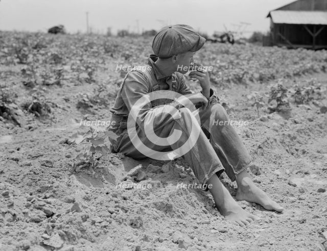 Sharecropper boy, Chesnee, South Carolina, 1937. Creator: Dorothea Lange.