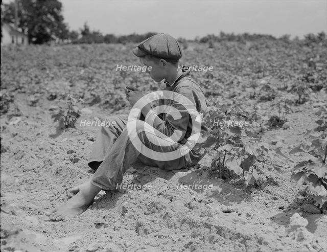 Sharecropper boy near Chesnee, South Carolina, 1937. Creator: Dorothea Lange.