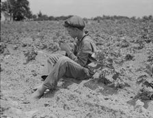 Sharecropper boy near Chesnee, South Carolina, 1937. Creator: Dorothea Lange