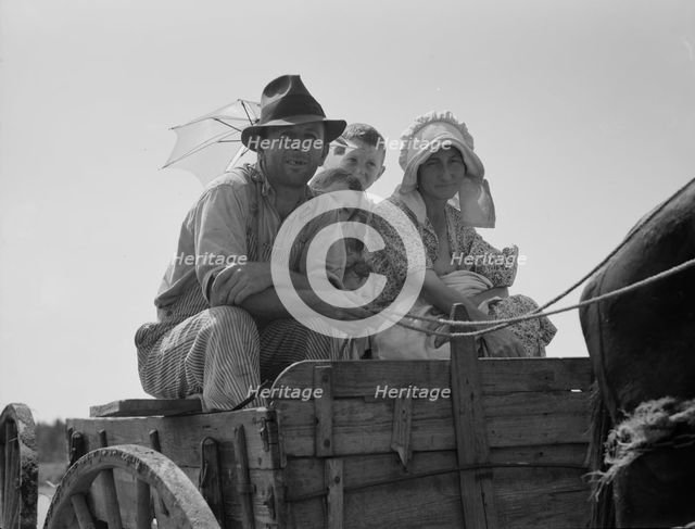 Sharecropper family near Hazlehurst, Georgia, 1937. Creator: Dorothea Lange.