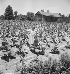 Sharecropper with wife and child in their..., near Chapel Hill, North Carolina, 1939. Creator: Dorothea Lange