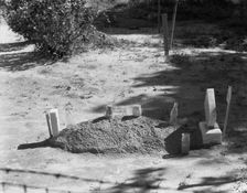Sharecropper's grave, Hale County, Alabama, 1936. Creator: Walker Evans