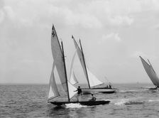 Shark and Acushla [II], 1897 July 31. Creator: John S Johnston