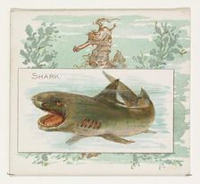Shark, from Fish from American Waters series (N39) for Allen & Ginter Cigarettes, 1889. Creator: Allen & Ginter