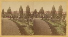 Shaw's Garden. North End. St. Louis, Missouri, about 1872-1874. Creator: Boehl & Koenig