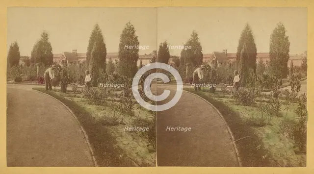 Shaw's Garden. North End. St. Louis, Missouri, about 1872-1874. Creator: Boehl & Koenig.
