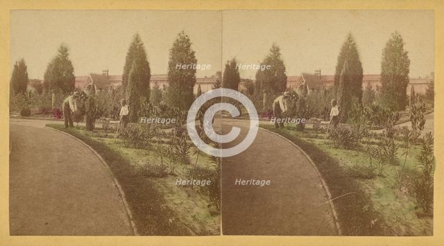 Shaw's Garden. North End. St. Louis, Missouri, about 1872-1874. Creator: Boehl & Koenig.