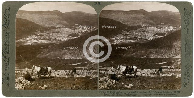 Shechem, south-west from Mount Ebal, Palestine, 1900s.Artist: Underwood & Underwood