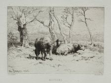 Sheep, 1868. Creator: Charles-Émile Jacque (French, 1813-1894)