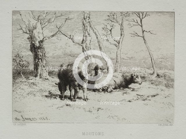 Sheep, 1868. Creator: Charles-Émile Jacque (French, 1813-1894).