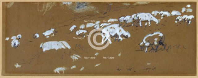 Sheep, 1878. Creator: Winslow Homer.