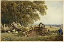 Sheep, Cows, and Herdsman by Uprooted Tree, 1802/1856. Creator: Frederick Nash
