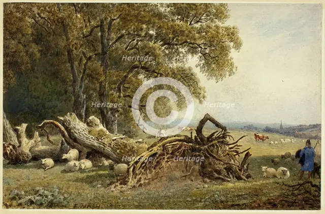 Sheep, Cows, and Herdsman by Uprooted Tree, 1802/1856. Creator: Frederick Nash.