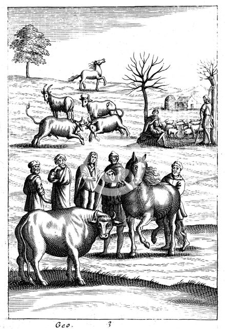 Sheep, cattle, horses and goats, 18th century. Artist: Unknown