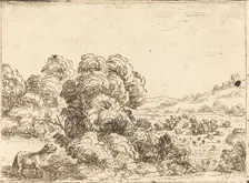Sheep Calling Lamb. Creator: Jacques Callot