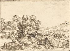 Sheep Calling Lamb. Creator: Jacques Callot