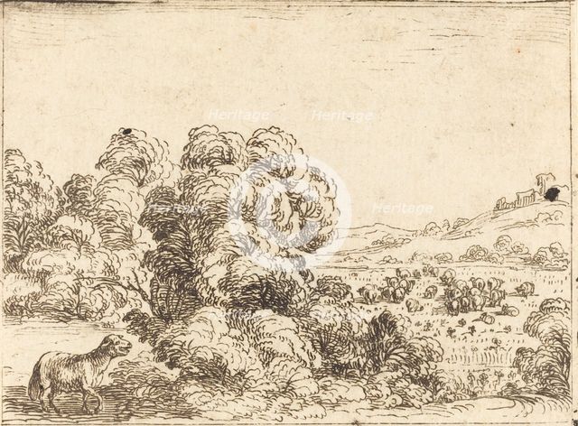 Sheep Calling Lamb. Creator: Jacques Callot.