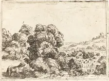 Sheep Calling Lamb. Creator: Jacques Callot