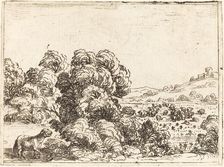 Sheep Calling Lamb. Creator: Jacques Callot