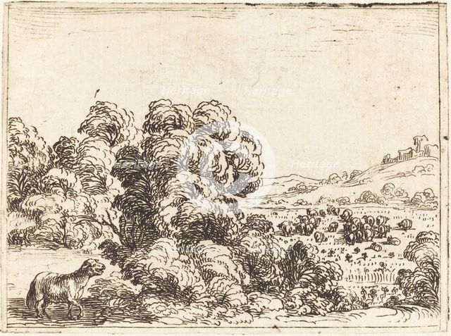Sheep Calling Lamb. Creator: Jacques Callot.
