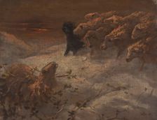 Sheep. Creator: August Friedrich Albrecht Schenck