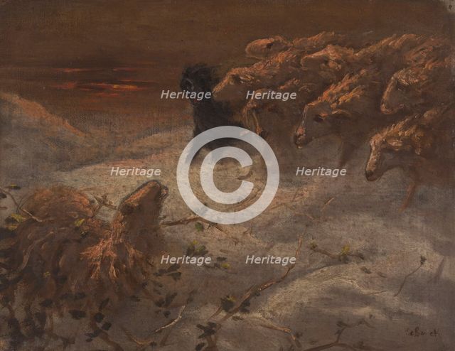Sheep. Creator: August Friedrich Albrecht Schenck.