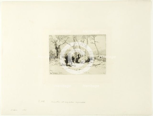 Sheep and Five Trees, 1868. Creator: Charles Emile Jacque.
