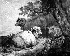 "Sheep", by Morland, in the International Exhibition, 1862. Creator: W Thomas