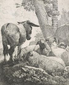 Sheep, goats and cows series: Donkey and sheep, 1668-1670. Creator: Johann Heinrich Roos