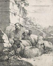Sheep, goats and cows series: Four resting and one standing sheep, 1668-1670. Creator: Johann Heinrich Roos