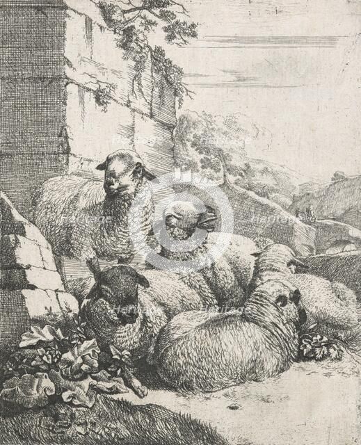 Sheep, goats and cows series: Four resting and one standing sheep, 1668-1670. Creator: Johann Heinrich Roos.