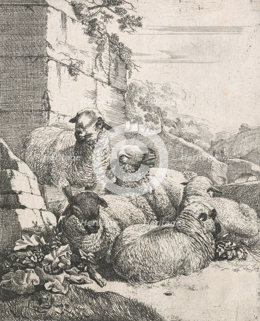 Sheep, goats and cows series: Four resting and one standing sheep, 1668-1670. Creator: Johann Heinrich Roos.