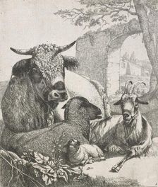 Sheep, goats and cows series: Recumbent bull, 1668-1670. Creator: Johann Heinrich Roos