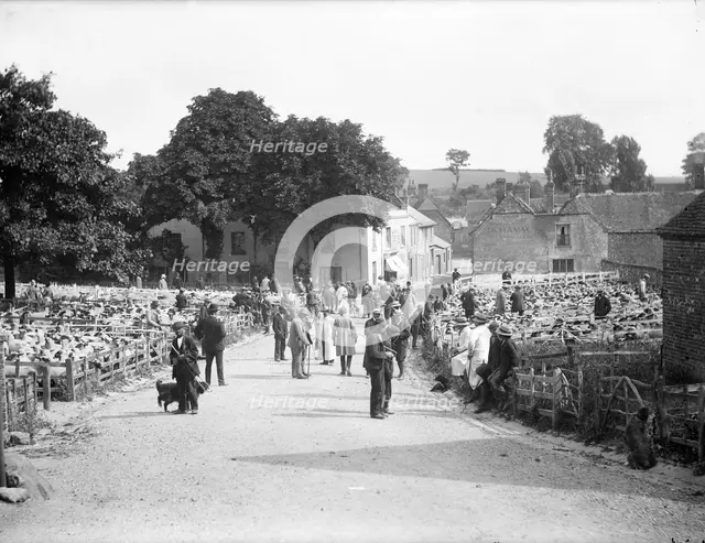 Sheep fair at East Ilsley, Berkshire, c1860-c1922. Artist: Henry Taunt