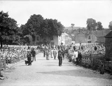 Sheep fair at East Ilsley, Berkshire, c1860-c1922. Artist: Henry Taunt