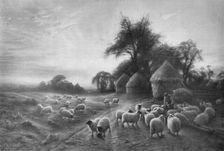 Sheep Feeding c1890, (1911). Artist: Joseph Farquharson