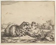 Sheep, from a set of 16 plates, 1664. Creator: Marcus de Bye