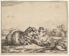 Sheep, from a set of 16 plates, 1664. Creator: Marcus de Bye